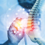 Doctor check and diagnose the human spine on blurred background